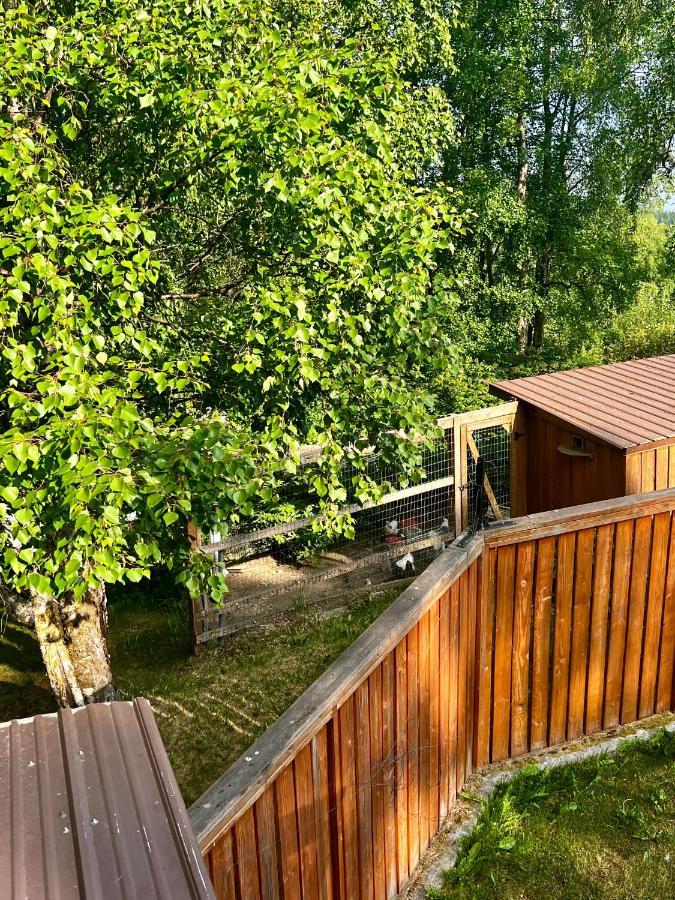 Indian Ak 25 Min To Anchorage & 25 Min To Girdwood Villa Luaran gambar