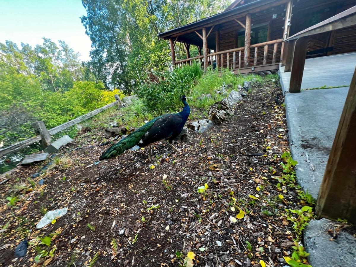 Indian Ak 25 Min To Anchorage & 25 Min To Girdwood Villa Luaran gambar
